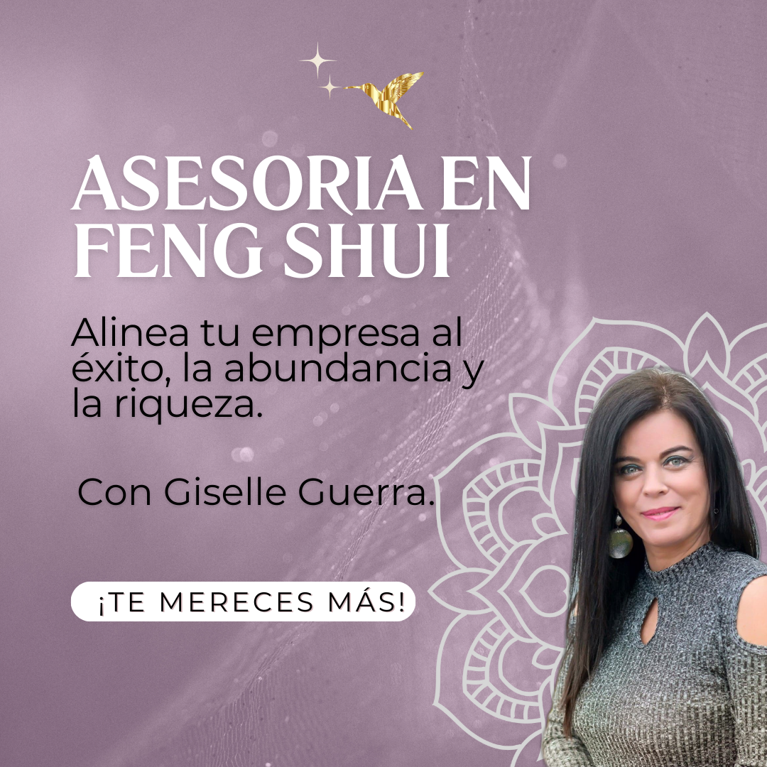 ¡Aquí está lo que necesitas!